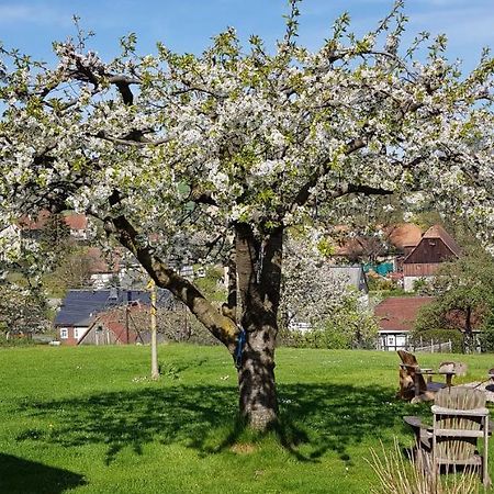 Appartamento Hossies Hof - Elke Bertsdorf Esterno foto