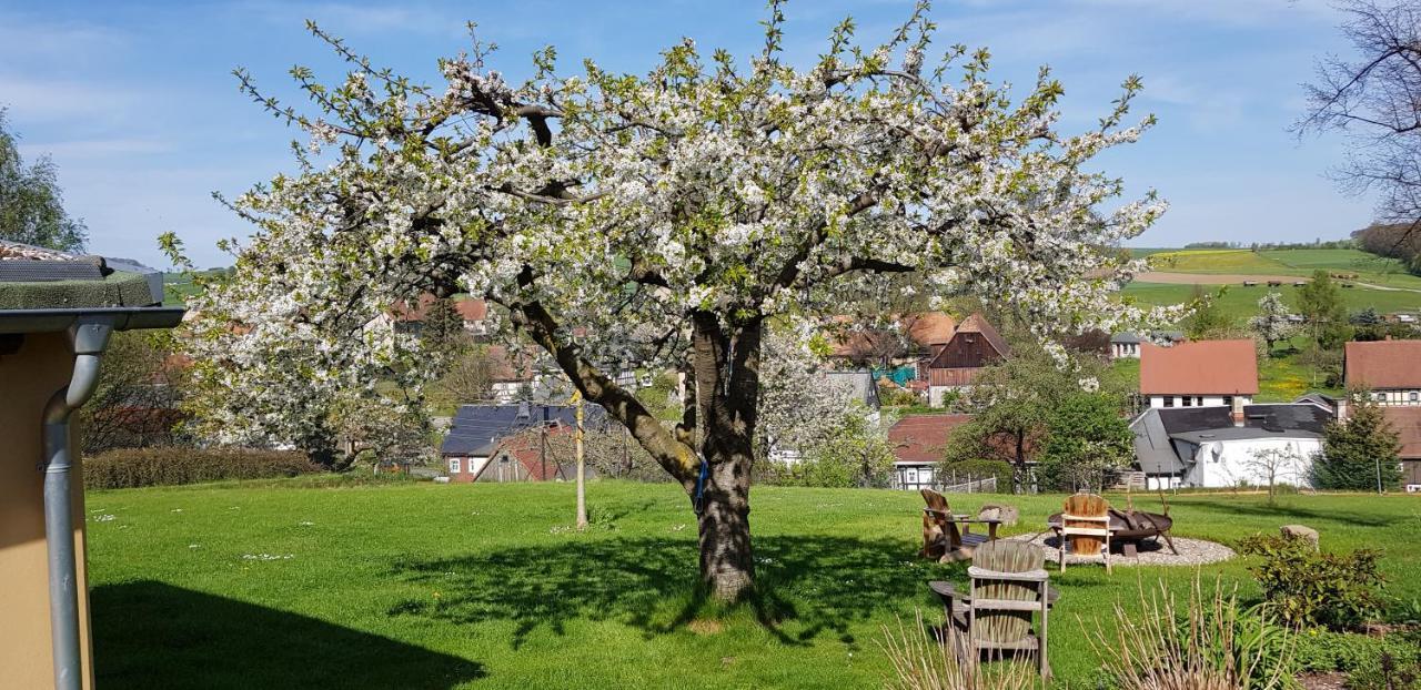 Appartamento Hossies Hof - Elke Bertsdorf Esterno foto